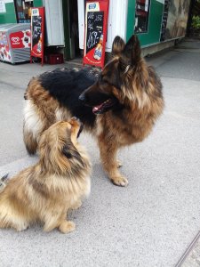 Őket úgy találtam.