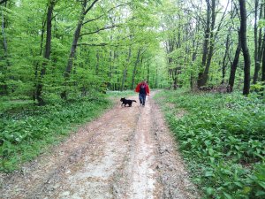 IMG_20160417_114825