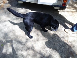 IMG_20160417_120649