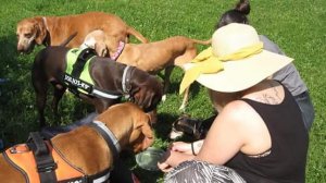 FB_IMG_1464540083519